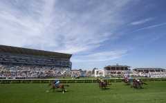 Saturday ITV Tips: Mark Milligan's four to back at Doncaster and Chester